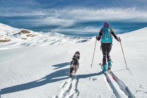 Two dogs with his mistress ski mountainer in snow plateau photo