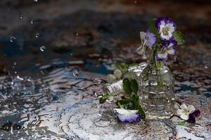 Glass vase with violet flowers in the rain photo