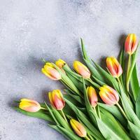 Beautiful yellow orange tulips photo