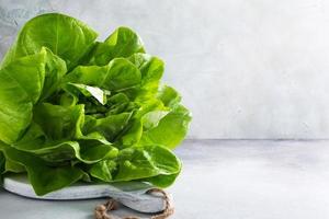 cabeza de ensalada de lechuga orgánica fresca foto