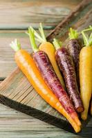 Fresh raw colorful carrots roots photo