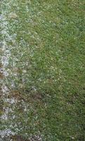 hail in stormy weather photo