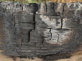 Burned wood texture photo