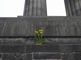 National Monument on Calton Hill in Edinburgh photo
