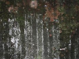 grey concrete texture with green moss background photo