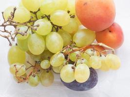 grape apricot and prune fruit photo