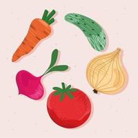 cinco iconos de verduras frescas vector
