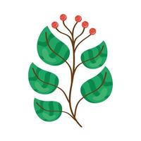 branch with leaves and seeds vector