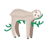 sloth exotic animal vector