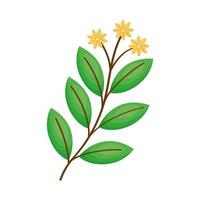branch with leaves and yellow flowers vector