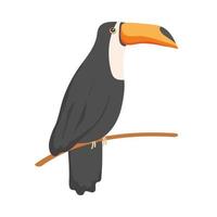 toucan exotic animal vector