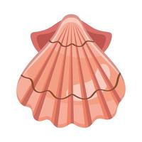 red sea shell vector