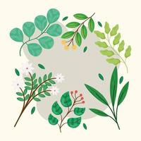 leaves in branches and flowers vector