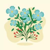 branches with flowers and seeds vector