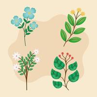 branches with leaves and flowers vector