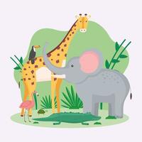 exotic animals in the grass vector