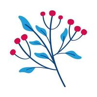 blue branch with seeds vector