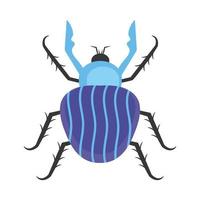 beetle insect scandinavian vector