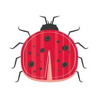 ladybug insect scandinavian vector