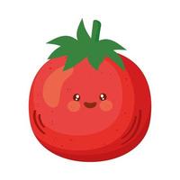 red tomato vegetable vector