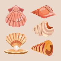 conchas de mar cinco iconos vector