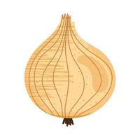 fresh onion vegetable vector