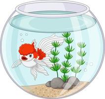 Cartoon oranda goldfish swimming in fishbowlCartoon oranda goldfish swimming in fishbowl vector