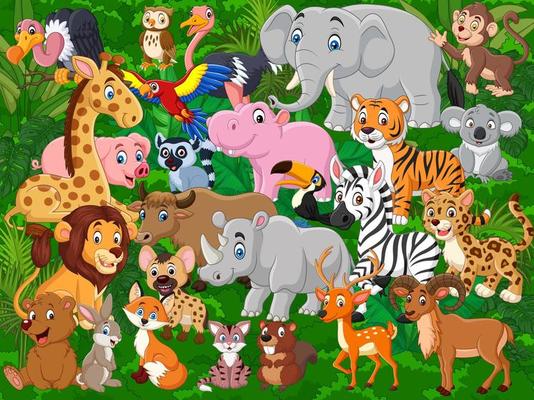 Free jungle animals - Vector Art