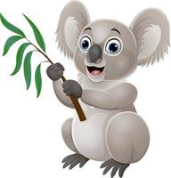 koala de dibujos animados sosteniendo una rama de eucalipto vector