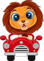 león bebé de dibujos animados conduciendo un coche rojo vector