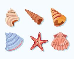 seis iconos de conchas marinas vector