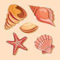 cinco iconos de conchas marinas vector