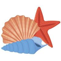 A set of colored seashells. Isolated vector illustration on a white background