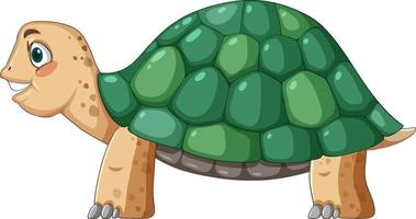 Side view of turtle with green shell in cartoon style vector
