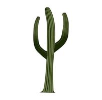 ilustración de diseño de dibujos animados de cactus saguaro