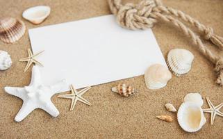 Shells, seastars and  blank postcard photo