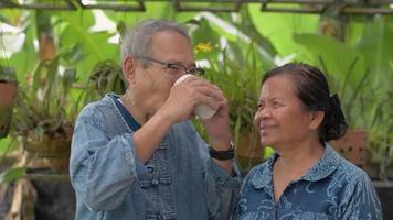 Senior couple enjoy with hot drink and looking at camera at home. video