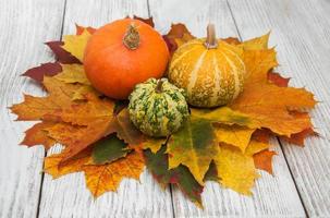 Pumpkins and leaves photo