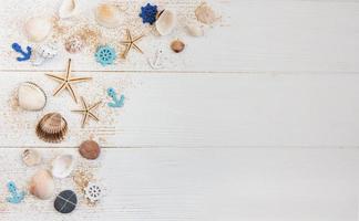 sea shells on a white wooden table photo