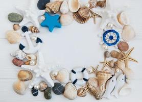 Shells, seastars and a blank postcard photo