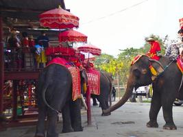 AYUTTHAYA THAILAND28 FEBRUARY 2019Ayutthaya Elephant Palace  Royal Kraal.on AYUTTHAYA THAILAND28 FEBRUARY 2019. photo