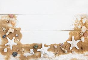sea shells with sand photo