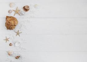 sea shells on a white wooden table photo