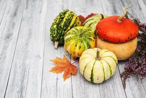 Pumpkins with autumn leaves photo