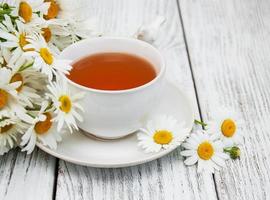 taza de té de hierbas con flores de manzanilla foto