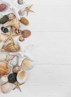 sea shells on a white wooden table photo