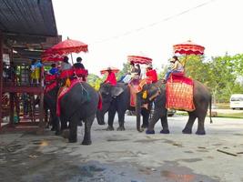 AYUTTHAYA THAILAND28 FEBRUARY 2019Ayutthaya Elephant Palace  Royal Kraal.on AYUTTHAYA THAILAND28 FEBRUARY 2019. photo