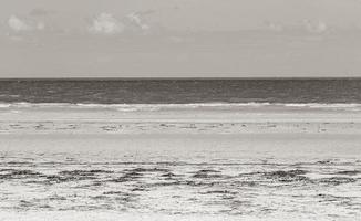 Natural Holbox island beach sandbank panorama turquoise water waves Mexico. photo