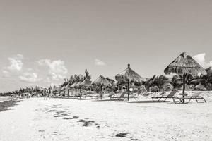 Beautiful Holbox island beach sandbank panorama palapa sun loungers Mexico. photo