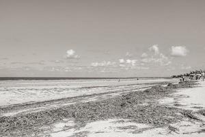 Holbox Mexico 22. December 2021 Beautiful Holbox island beach sandbank panorama turquoise water people Mexico. photo